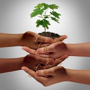 Capacity Building Series